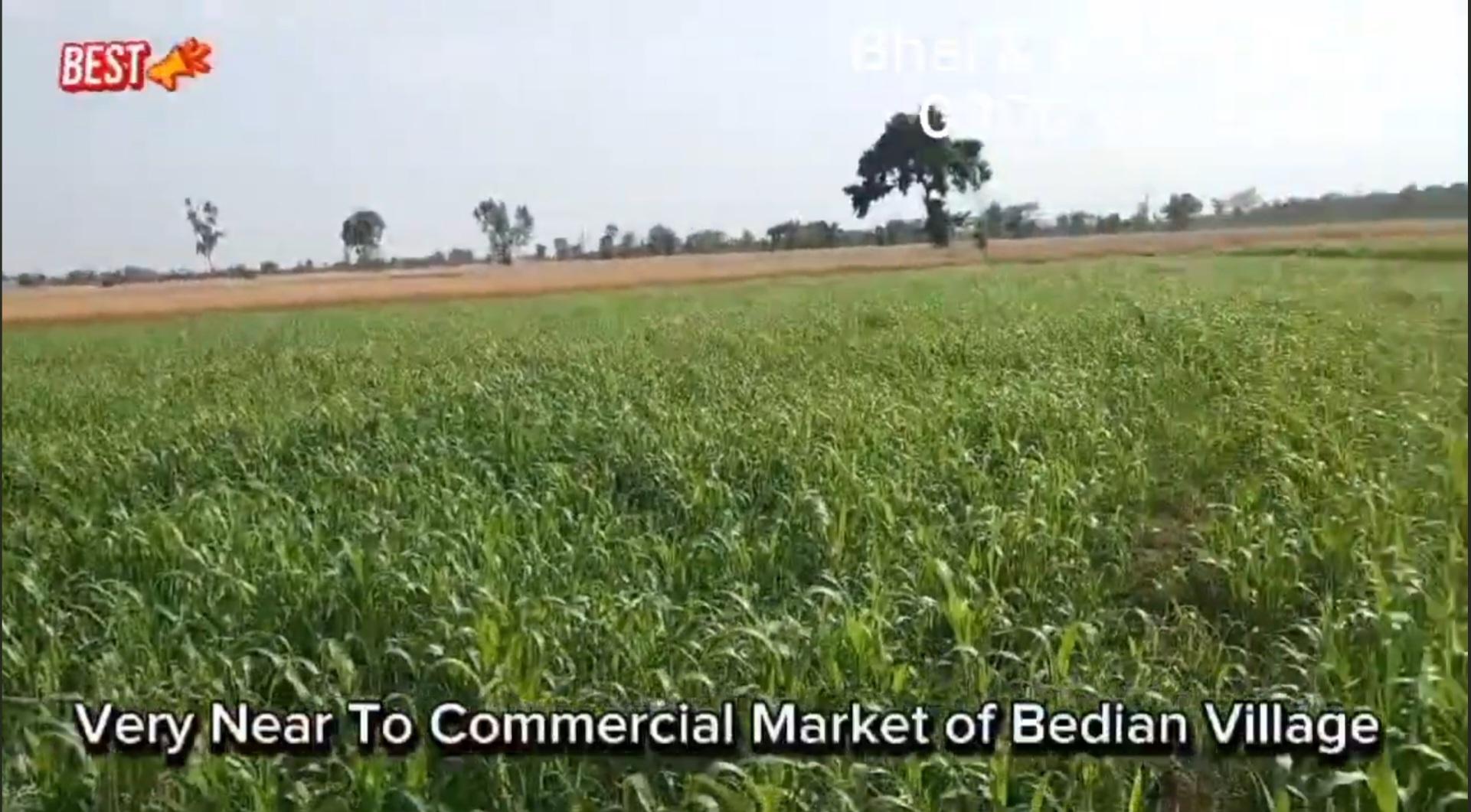 20 lac per kanal Cheapest Land For Sale Lahore Badia Road