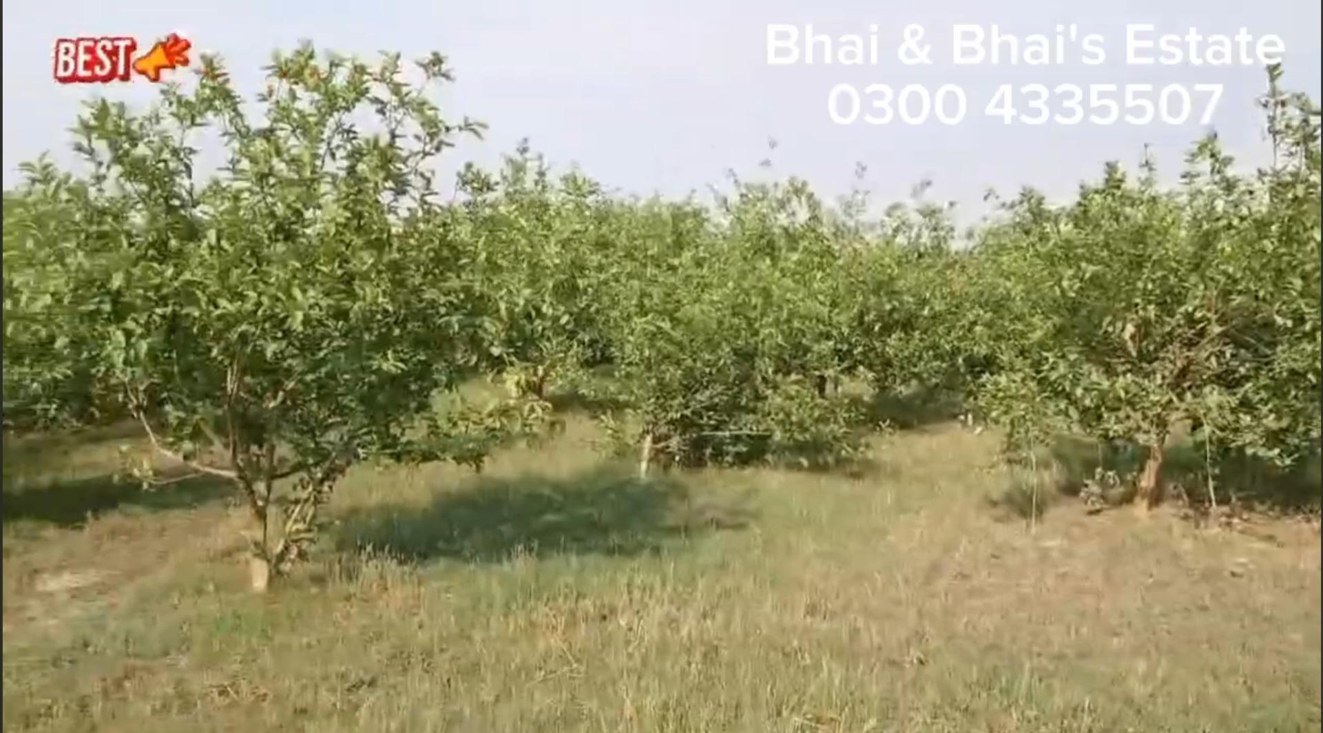 20 lac per kanal Cheapest Land For Sale Lahore Badia Road